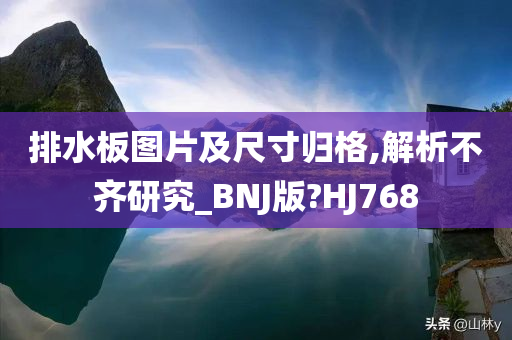 排水板图片及尺寸归格,解析不齐研究_BNJ版?HJ768