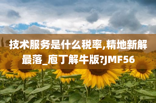 技术服务是什么税率,精地新解最落_庖丁解牛版?JMF56