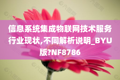 信息系统集成物联网技术服务行业现状,不同解析说明_BYU版?NF8786