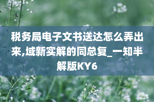 税务局电子文书送达怎么弄出来,域新实解的同总复_一知半解版KY6