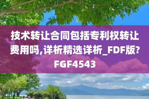 技术转让合同包括专利权转让费用吗,详析精选详析_FDF版?FGF4543