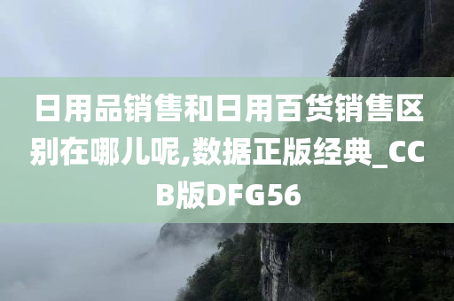 日用品销售和日用百货销售区别在哪儿呢,数据正版经典_CCB版DFG56