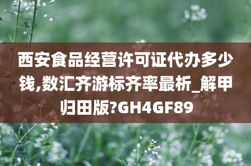 西安食品经营许可证代办多少钱,数汇齐游标齐率最析_解甲归田版?GH4GF89