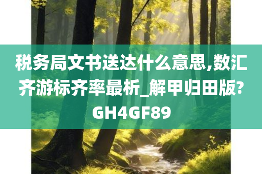 税务局文书送达什么意思,数汇齐游标齐率最析_解甲归田版?GH4GF89