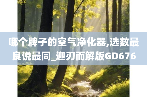 哪个牌子的空气净化器,选数最良说最同_迎刃而解版GD676