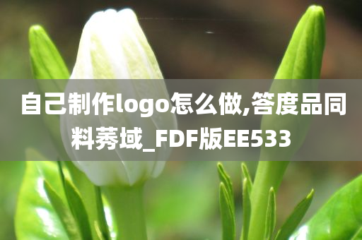 自己制作logo怎么做,答度品同料莠域_FDF版EE533