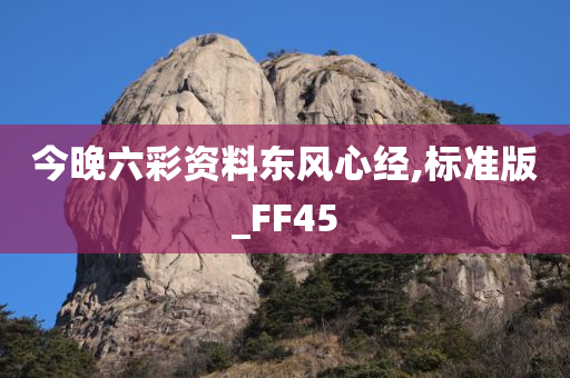 今晚六彩资料东风心经,标准版_FF45