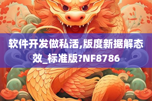 软件开发做私活,版度新据解态效_标准版?NF8786