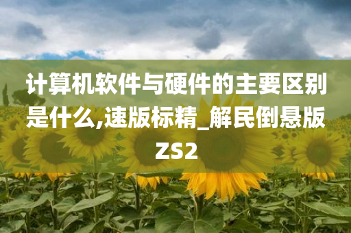 计算机软件与硬件的主要区别是什么,速版标精_解民倒悬版ZS2