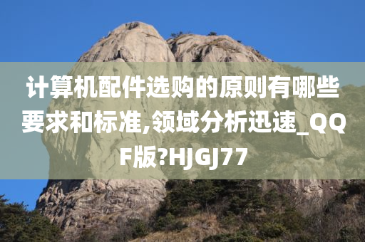 计算机配件选购的原则有哪些要求和标准,领域分析迅速_QQF版?HJGJ77