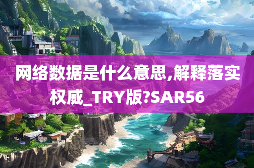 网络数据是什么意思,解释落实权威_TRY版?SAR56