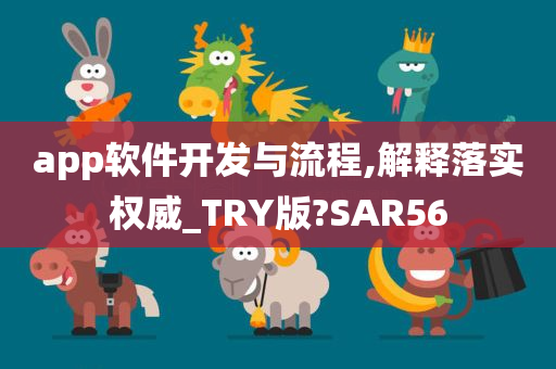 app软件开发与流程,解释落实权威_TRY版?SAR56