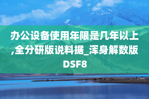 办公设备使用年限是几年以上,全分研版说料据_浑身解数版DSF8