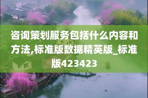 咨询策划服务包括什么内容和方法,标准版数据精英版_标准版423423