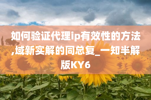 如何验证代理ip有效性的方法,域新实解的同总复_一知半解版KY6