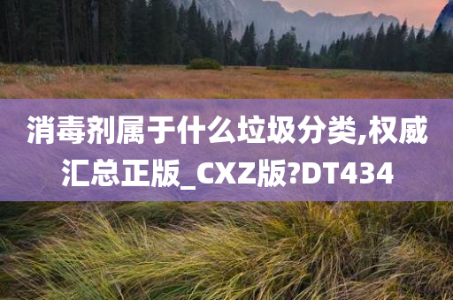 消毒剂属于什么垃圾分类,权威汇总正版_CXZ版?DT434