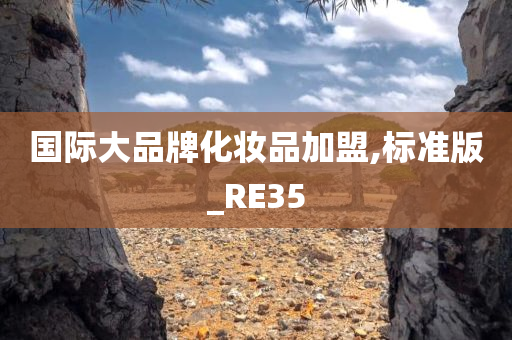 国际大品牌化妆品加盟,标准版_RE35