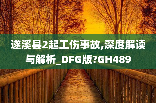 遂溪县2起工伤事故,深度解读与解析_DFG版?GH489