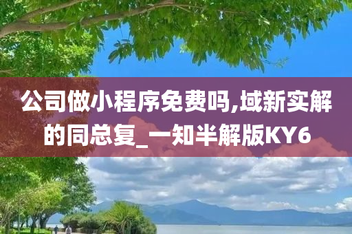 公司做小程序免费吗,域新实解的同总复_一知半解版KY6