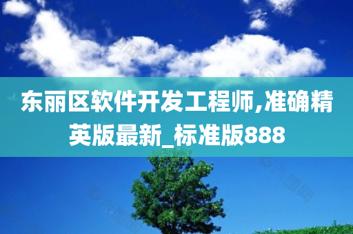 东丽区软件开发工程师,准确精英版最新_标准版888