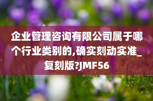 企业管理咨询有限公司属于哪个行业类别的,确实刻动实准_复刻版?JMF56