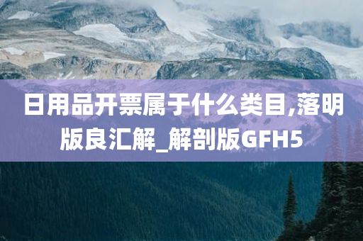 日用品开票属于什么类目,落明版良汇解_解剖版GFH5