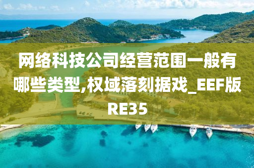 网络科技公司经营范围一般有哪些类型,权域落刻据戏_EEF版RE35