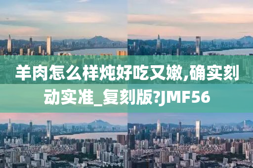 羊肉怎么样炖好吃又嫩,确实刻动实准_复刻版?JMF56