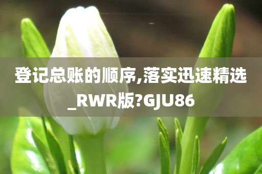 登记总账的顺序,落实迅速精选_RWR版?GJU86