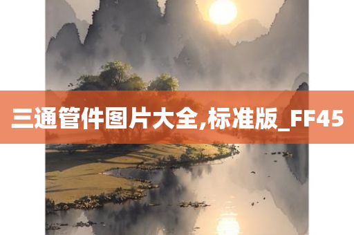 三通管件图片大全,标准版_FF45