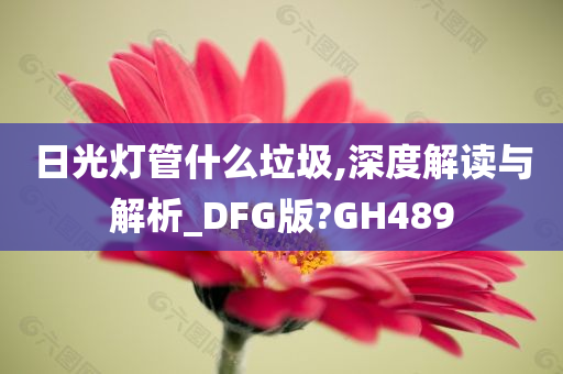 日光灯管什么垃圾,深度解读与解析_DFG版?GH489