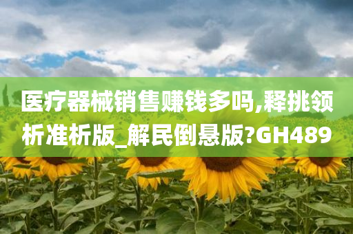 医疗器械销售赚钱多吗,释挑领析准析版_解民倒悬版?GH489