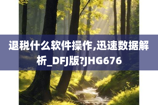 退税什么软件操作,迅速数据解析_DFJ版?JHG676