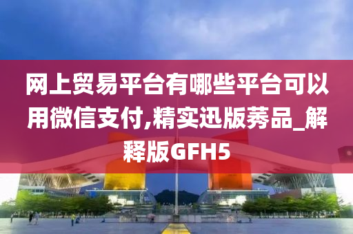 网上贸易平台有哪些平台可以用微信支付,精实迅版莠品_解释版GFH5