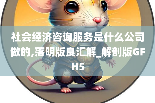 社会经济咨询服务是什么公司做的,落明版良汇解_解剖版GFH5