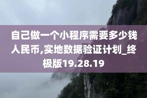 自己做一个小程序需要多少钱人民币,实地数据验证计划_终极版19.28.19