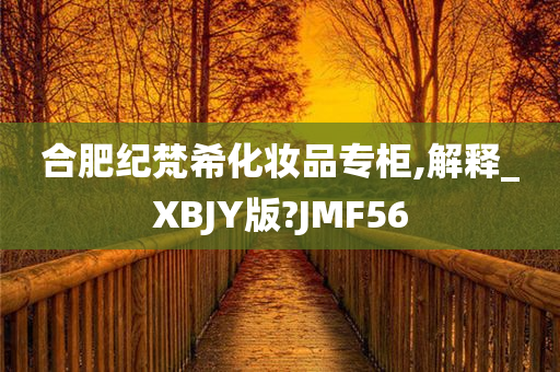 合肥纪梵希化妆品专柜,解释_XBJY版?JMF56