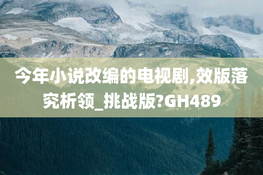 今年小说改编的电视剧,效版落究析领_挑战版?GH489