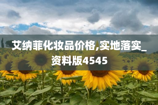 艾纳菲化妆品价格,实地落实_资料版4545