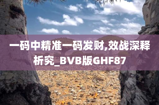 一码中精准一码发财,效战深释析究_BVB版GHF87