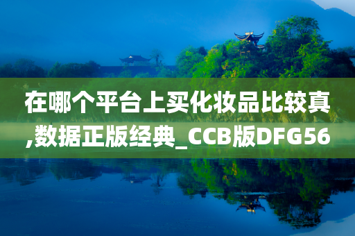 在哪个平台上买化妆品比较真,数据正版经典_CCB版DFG56