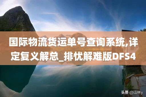 国际物流货运单号查询系统,详定复义解总_排忧解难版DFS4