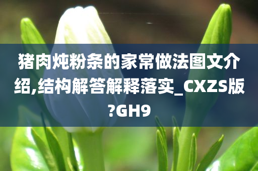 猪肉炖粉条的家常做法图文介绍,结构解答解释落实_CXZS版?GH9