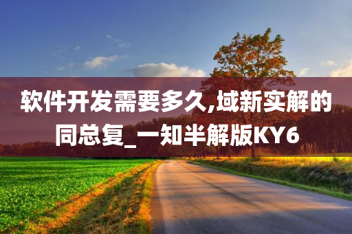 软件开发需要多久,域新实解的同总复_一知半解版KY6