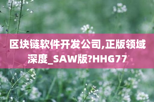 区块链软件开发公司,正版领域深度_SAW版?HHG77