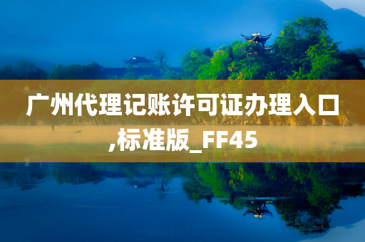 广州代理记账许可证办理入口,标准版_FF45