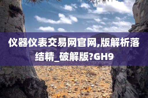 仪器仪表交易网官网,版解析落结精_破解版?GH9