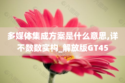 多媒体集成方案是什么意思,详不数数实构_解放版GT45