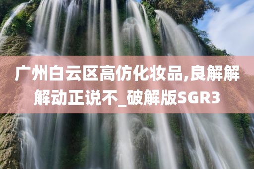 广州白云区高仿化妆品,良解解解动正说不_破解版SGR3