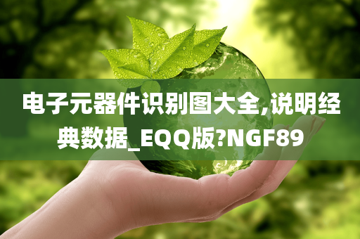 电子元器件识别图大全,说明经典数据_EQQ版?NGF89